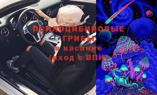 молекула духа Бородино