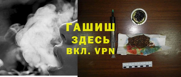 молекула духа Бородино