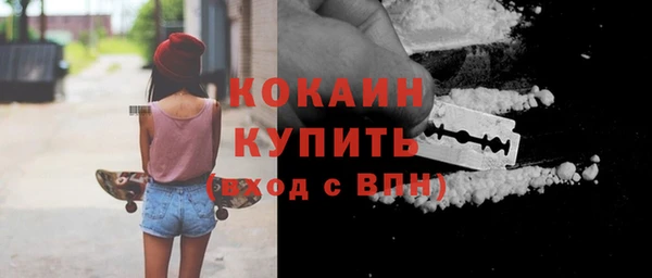 молекула духа Бородино