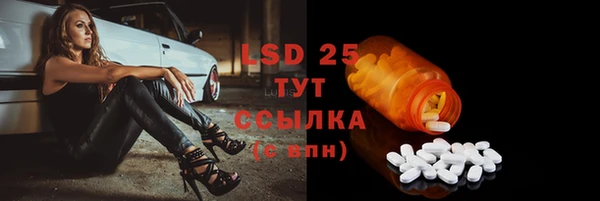 сатива Бугульма