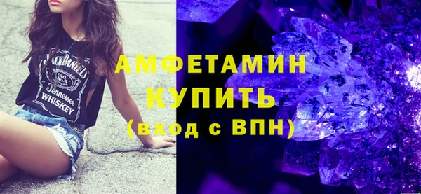 молекула духа Бородино