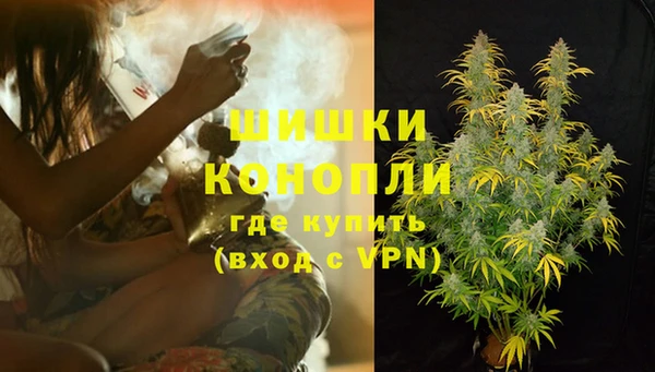 молекула духа Бородино